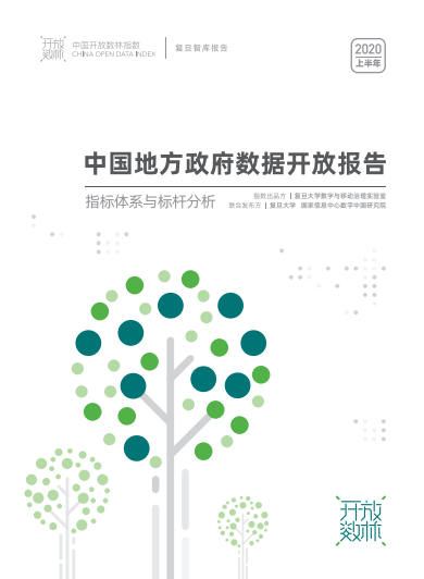 中国地方政府数据开放报告（2020上半年）