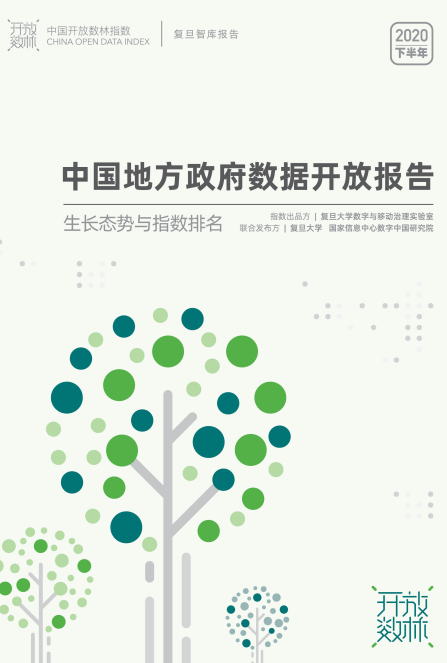 中国地方政府数据开放报告（2020下半年）