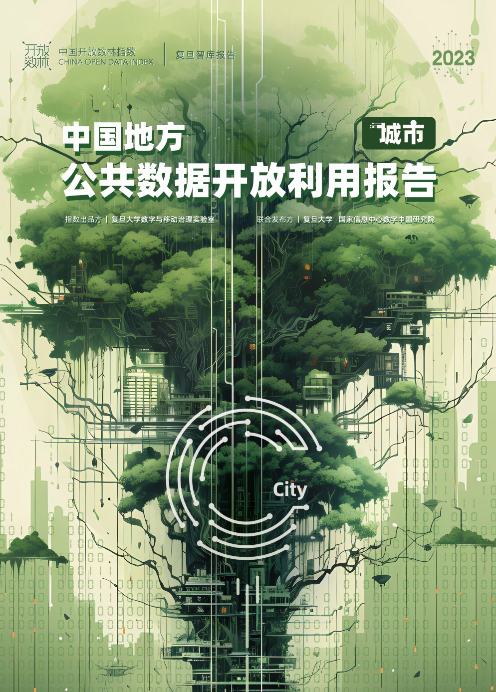 中国地方公共数据开放利用报告
城市